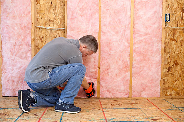 Best Cellulose Insulation in Corrales, NM